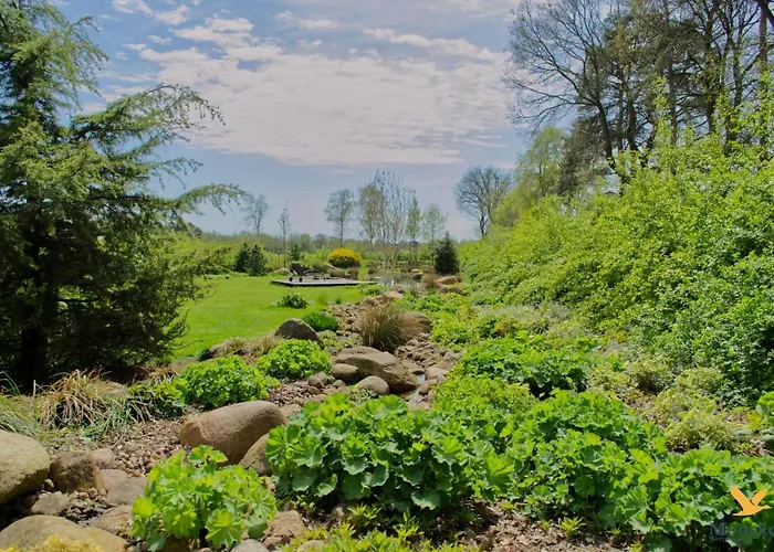 Moorkoje * Worpswede